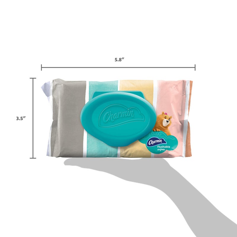 Charmin Freshmates Flushable Unscented Wet Wipes, 12 Packs, 40 Sheets Per Pack, Prime Pantry - Image 2